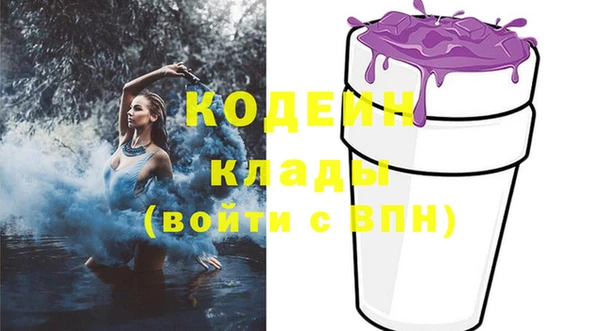 шишки Михайлов