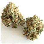 Шишки "White Widow"  (Белая вдова)  Гидропоника -  Бошка VHQ в Спасске